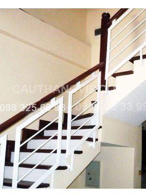 Cau-thang-sat-nghe-thuat-VIP-S012