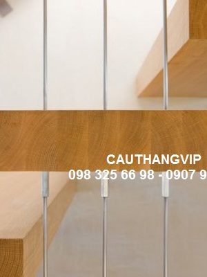 cau-thang-cap-hien-dai