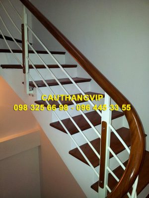 cau-thang-sat-VIP-S01