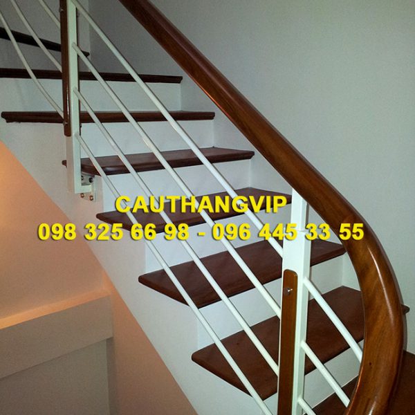 cau-thang-sat-VIP-S01