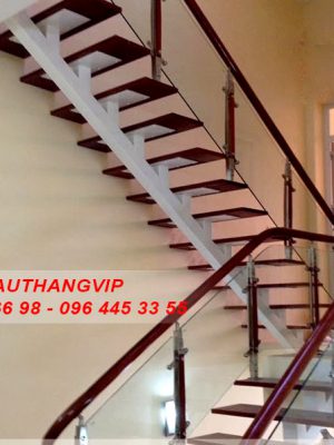 cau-thang-xuong-ca-VIP10-1