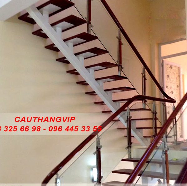 cau-thang-xuong-ca-VIP10-1