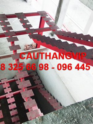 cau-thang-xuong-ca-XS06
