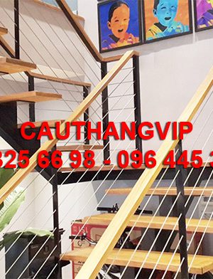 cau_thang_day_cap_VIP-C04