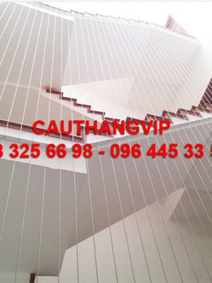 cau_thang_day_cap_VIP_C03